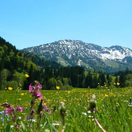 Hotell Berg- Und Aktivhotel Edelsberg Gmbh Bad Hindelang
