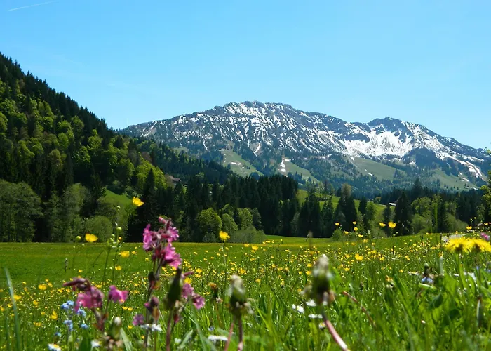 Hotel Berg- Und Aktivhotel Edelsberg Gmbh Unterjoch